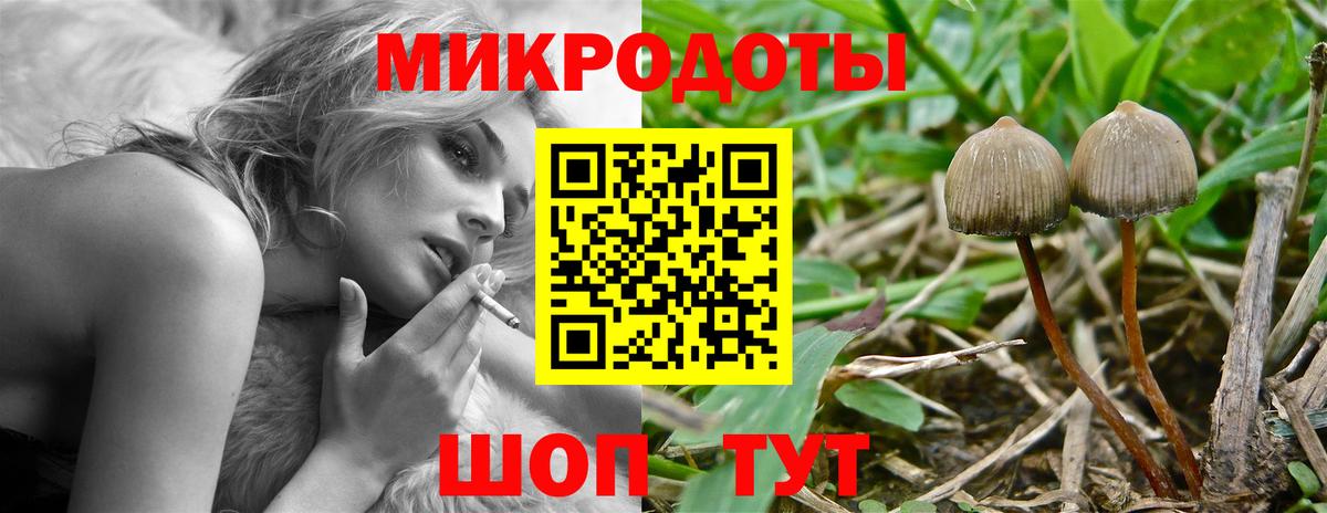 Псилоцибиновые грибы прущие грибы  Вход с VPN  Щёлково  Галлюциногенные грибы ЛСД 